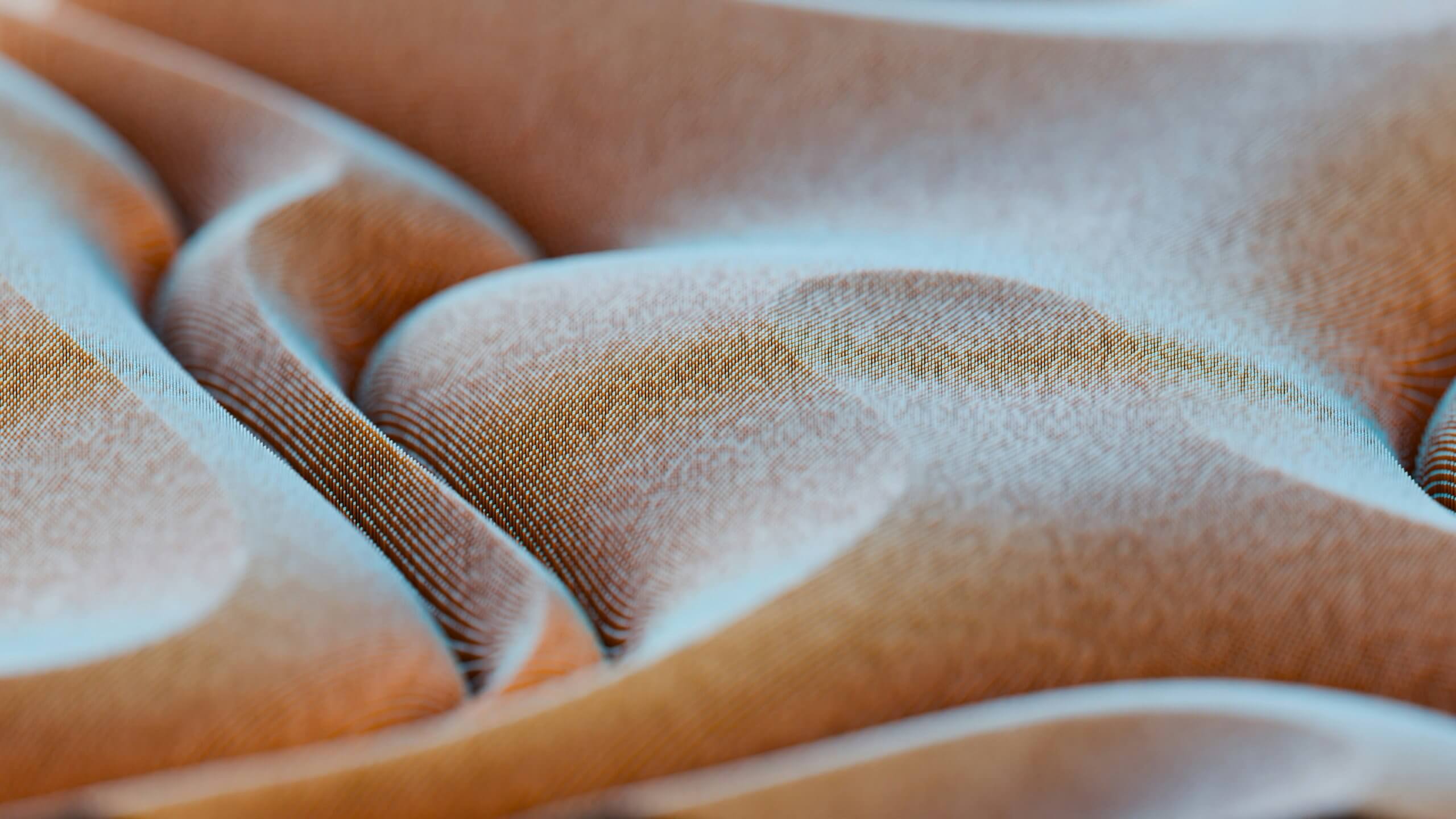 zach-m-B-NmqCowdSw-unsplash